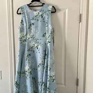 Blue with Floral Print A-line Dress